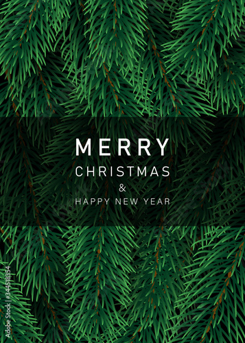 Christmas decoration element. Christmas tree branches background. Green colorful pine pattern. Vector