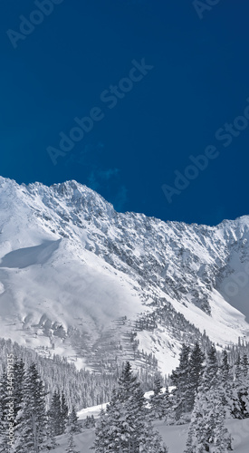 Winter Alpine Landscape