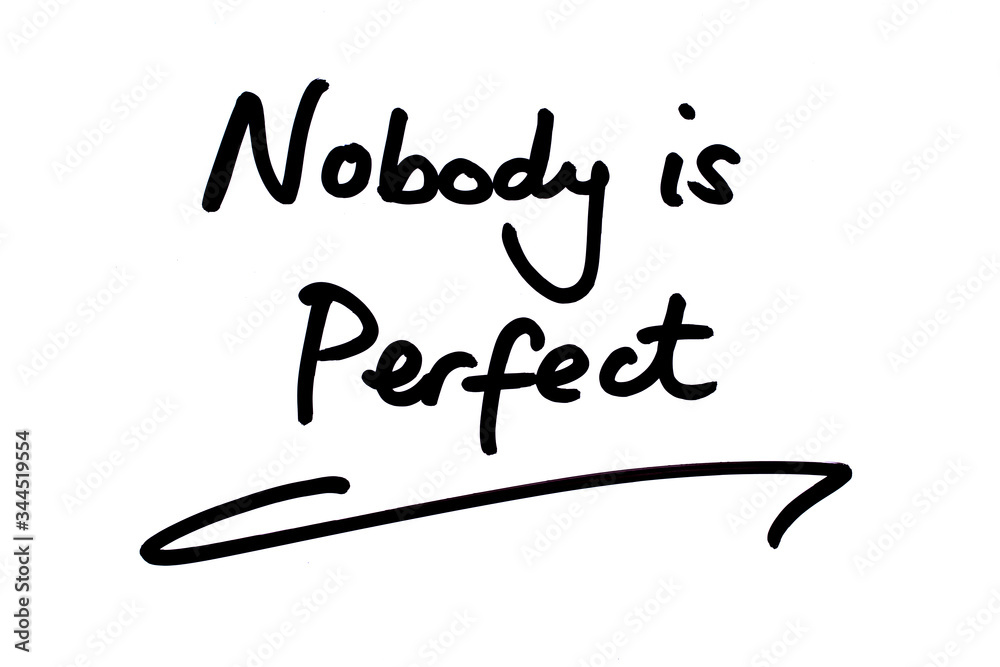 Nobody is Perfect Nobody is Perfect