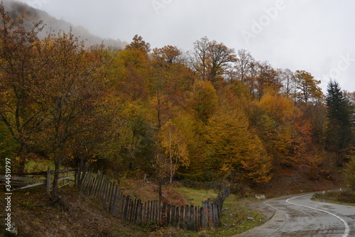 Awesome Landscape View during Autumn season in Mestia, Georgia