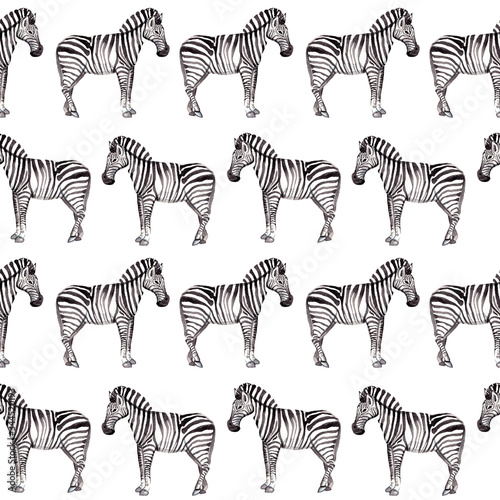 Zebra seamless watercolor pattern on a white background. Ideal for wallpaper  wrapping paper  textile  fabric design.