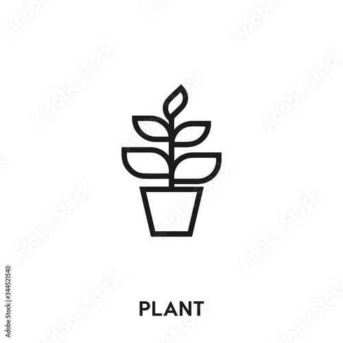 plant icon vector. plant sign symbol