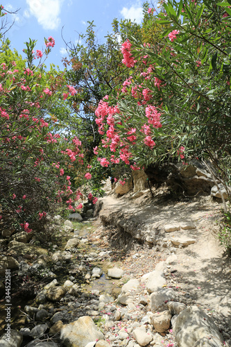 pathway in Avakas Gorge in Cyprus