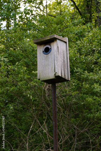 Weathered wood bird box atop a tall pole, trees and greenery background, vertical aspect
