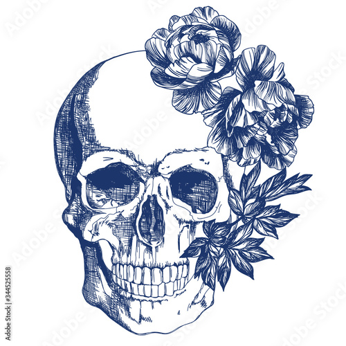Blue skull with flowers vintage style illustration