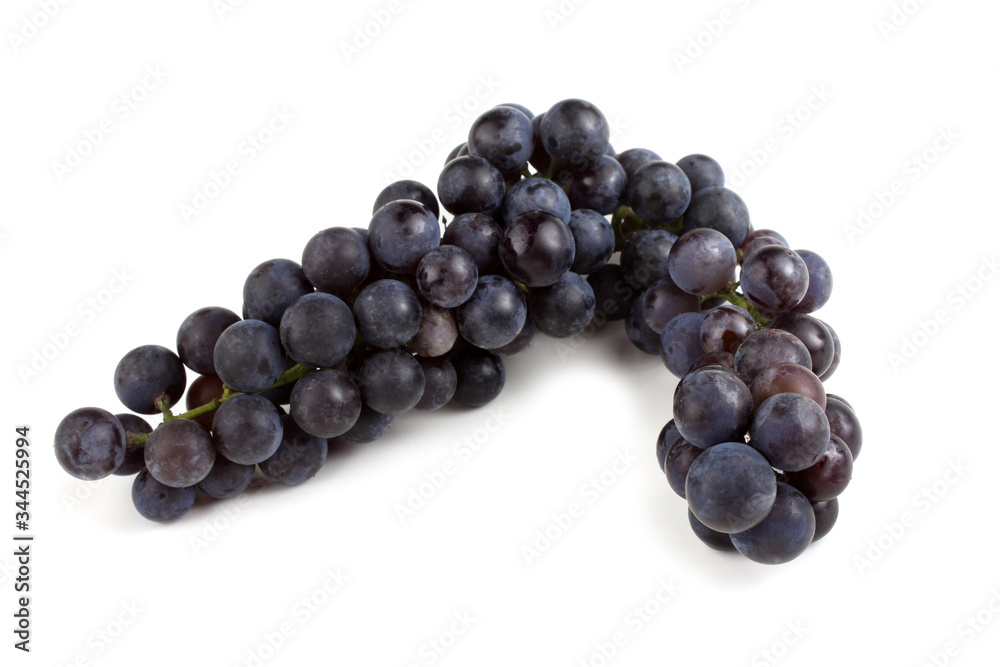 Wine grape variety for red wine Wine grape variety for red wine