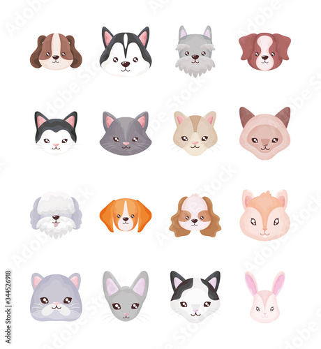 set of heads of cats and dogs on white background