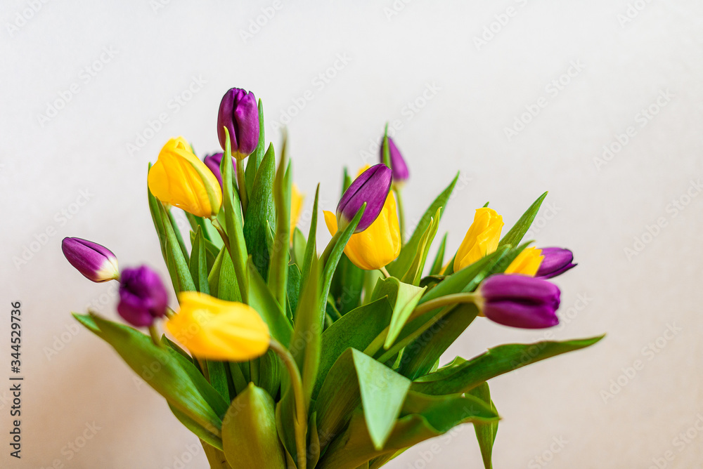 bouquet of colorful tulips bouquet of colorful tulips