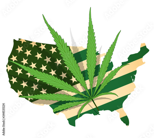 USA map green and cannabis leaf. Vector image