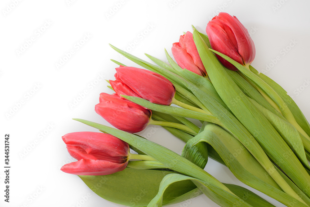 Bouquet of five red tulips on a white background with leaves, bottom view Bouquet of five red tulips on a white background with leaves, bottom view