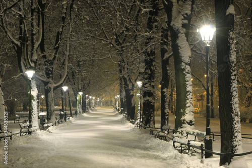 Night view of Planty park in winter, Cracow, Poland © bayazed