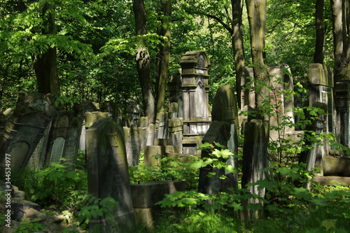 Old jewish cemetery in Lodz, Poland photo