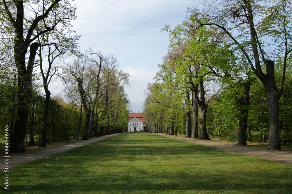 Obraz premium Nieborow Palace in the village Nieborow, Poland