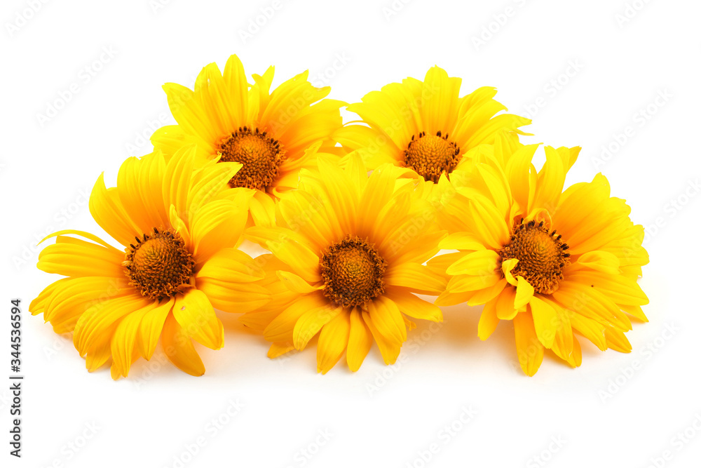 Naklejka premium Yellow chamomiles