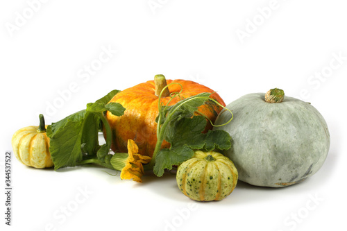 Pumpkins and leaves