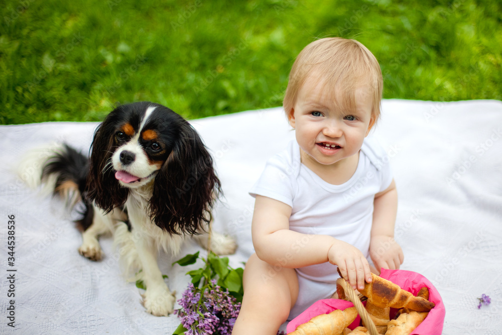During the picnic, the kid treats his favorite dog with a croissant. Cavalier King Charles Spaniel. During the picnic, the kid treats his favorite dog with a croissant. Cavalier King Charles Spaniel.