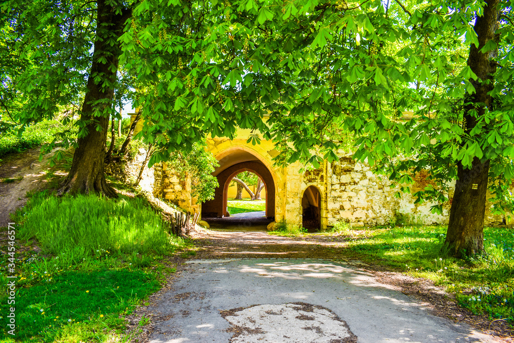 Obraz premium Long beautiful walk in the park. 