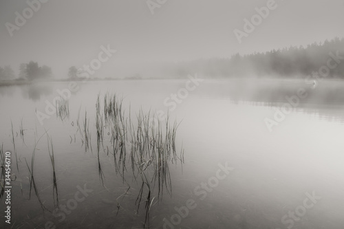 atmosfera suggestiva su questo lago con la nebbia al mattino