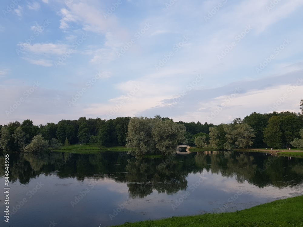 Obraz premium lake in the forest
