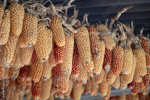 Corn displayed to be sold