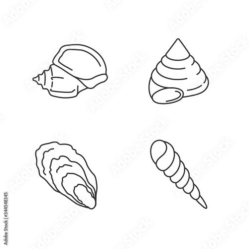Different seashells pixel perfect linear icons set. Customizable thin line contour symbols. Triton trumpet, oyster, auger and top snail shells isolated vector outline illustrations. Editable stroke