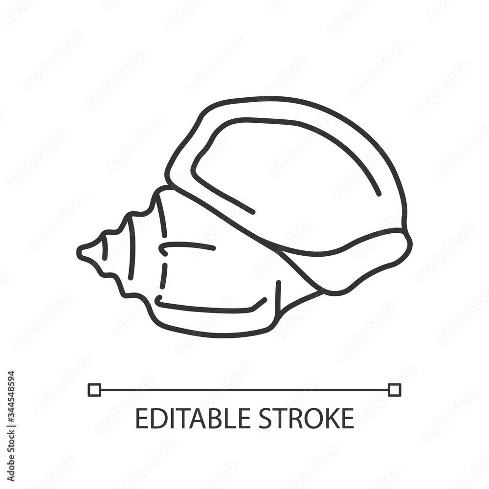 Triton trumpet shell pixel perfect linear icon. Large exotic seashell ...