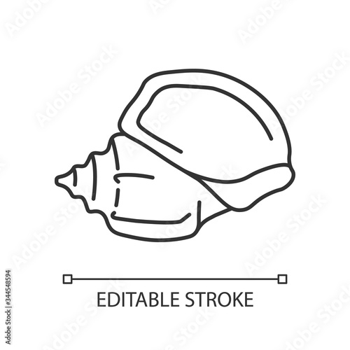 Triton trumpet shell pixel perfect linear icon. Large exotic seashell, conchology thin line customizable illustration. Contour symbol. Gastropod conch vector isolated outline drawing. Editable stroke