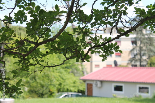 View of countryside home from trees , tree branches are covering the side view of builiding