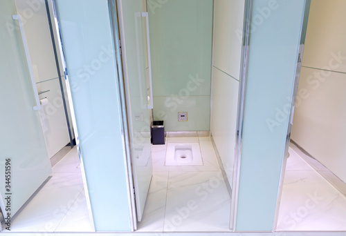 Toilet squat toilet