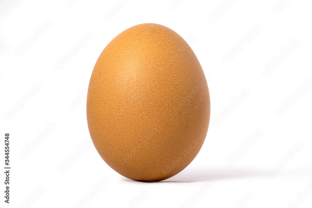 Picture of an egg laying vertically with a white background Picture of an egg laying vertically with a white background