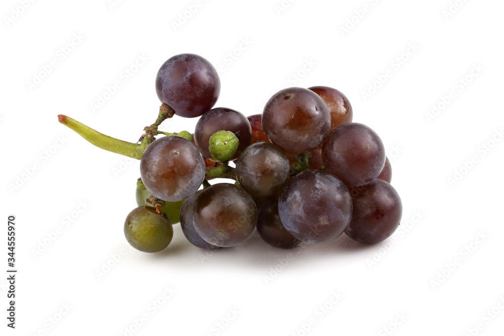 Fototapeta premium Black wine grape