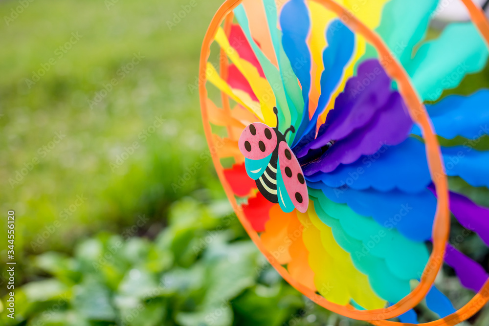 Colourful rainbow pinwheel in the garden.garden decor element pinwheel red ladybug on lawn background