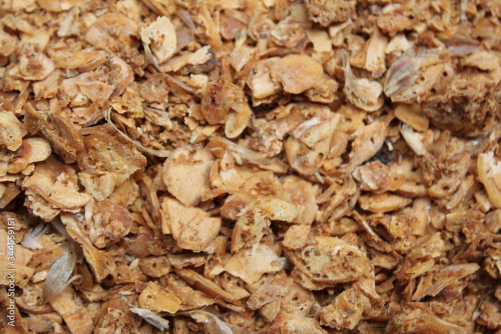 dry garlic dry garlic