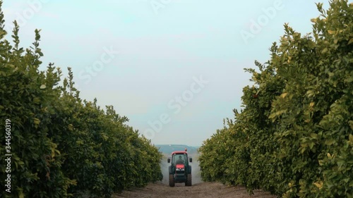 Front view of a orange tractor spraying or fertilizing an orange grove with chemicals.   photo