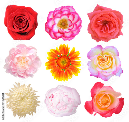 mix flowers isolated on white photo