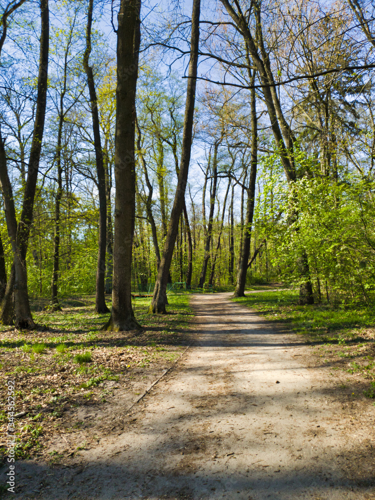 SŁONECZNY DZIEŃ W PARKU.
PARK IM. JÓZEFA PIŁSUDSKIEGO
(NA ZDROWIU). ŁÓDŹ, POLSKA SŁONECZNY DZIEŃ W PARKU.
PARK IM. JÓZEFA PIŁSUDSKIEGO
(NA ZDROWIU). ŁÓDŹ, POLSKA