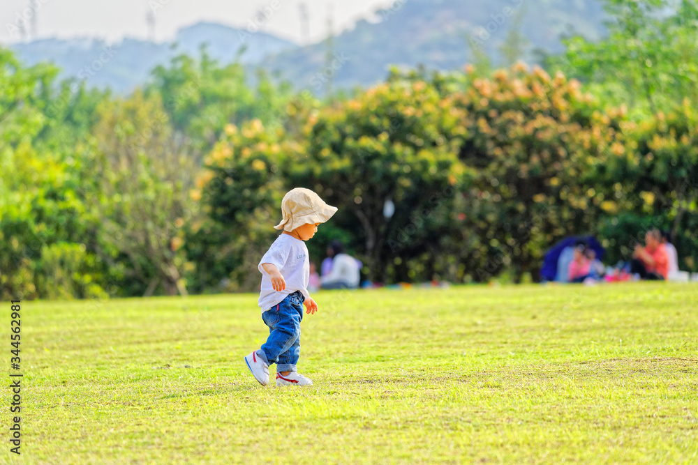 The little boy in a hat in the outdoor lawn
The little boy in a hat in the outdoor lawn