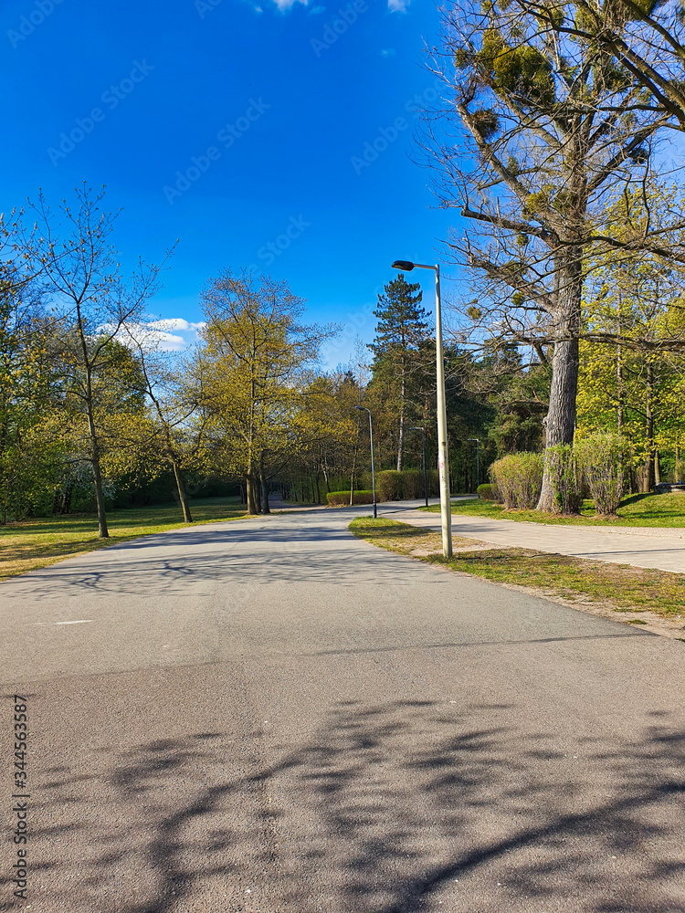 SŁONECZNY DZIEŃ W PARKU. 
PARK IM. JÓZEFA PIŁSUDSKIEGO 
(NA ZDROWIU). ŁÓDŹ, POLSKA  