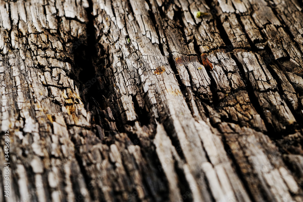 Old rusty weathered wood surface with cracks. Texture. Vertical Old rusty weathered wood surface with cracks. Texture. Vertical