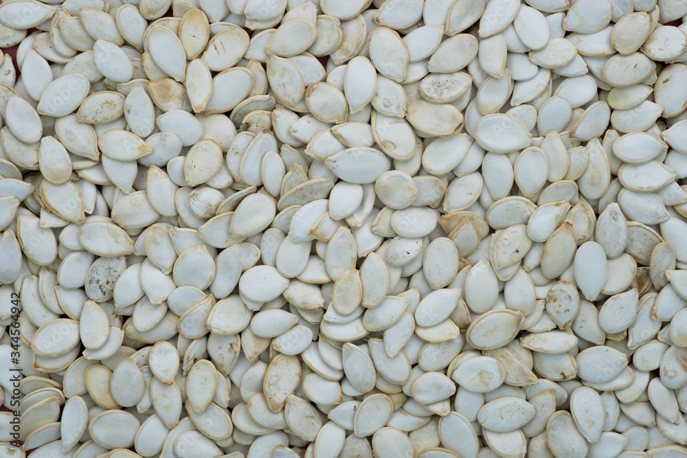 Dry pumpkin seeds full screen Dry pumpkin seeds full screen