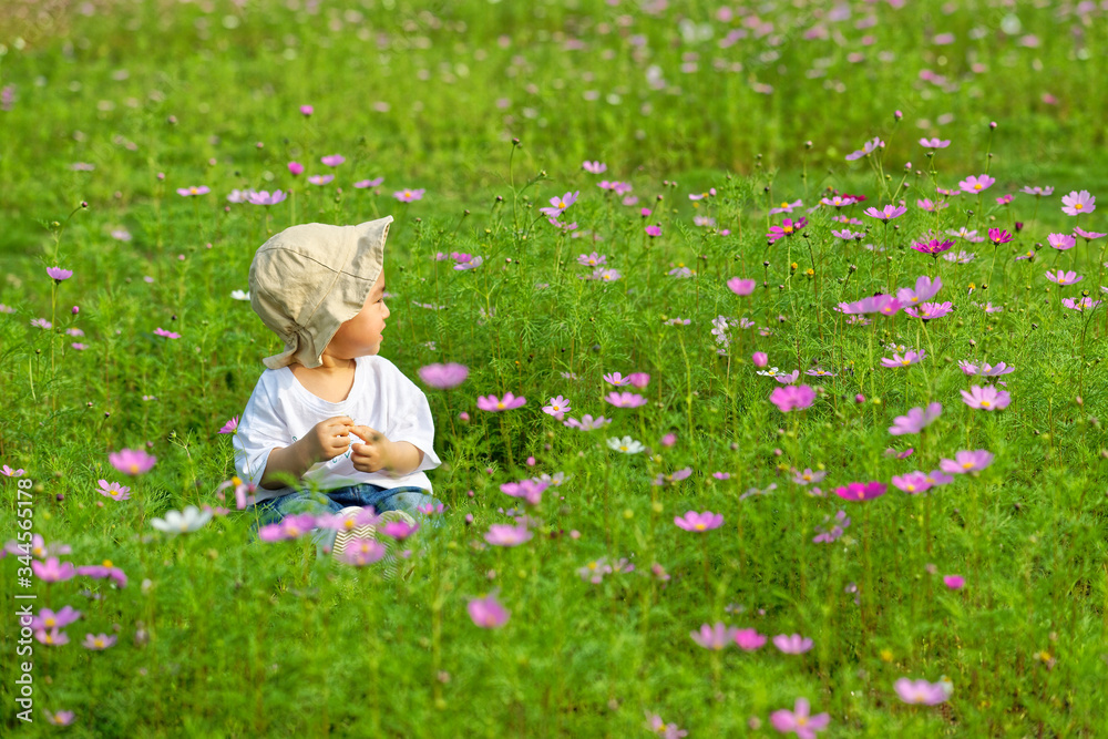 An Asian boy sat in the flowers An Asian boy sat in the flowers