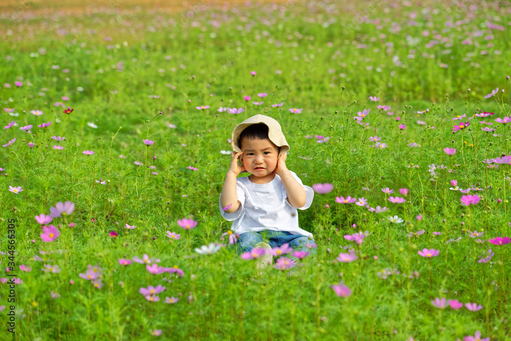 An Asian boy sat in the flowers An Asian boy sat in the flowers