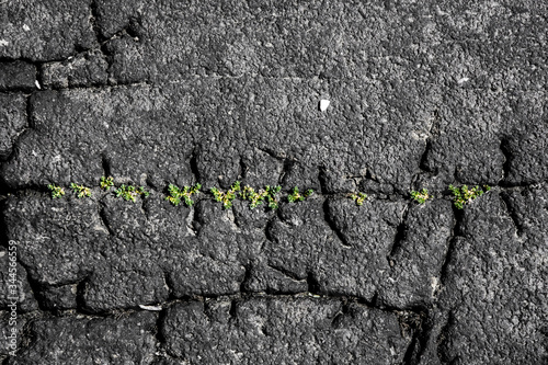 Tracce e segni sulla roccia disegnano forme particolari photo