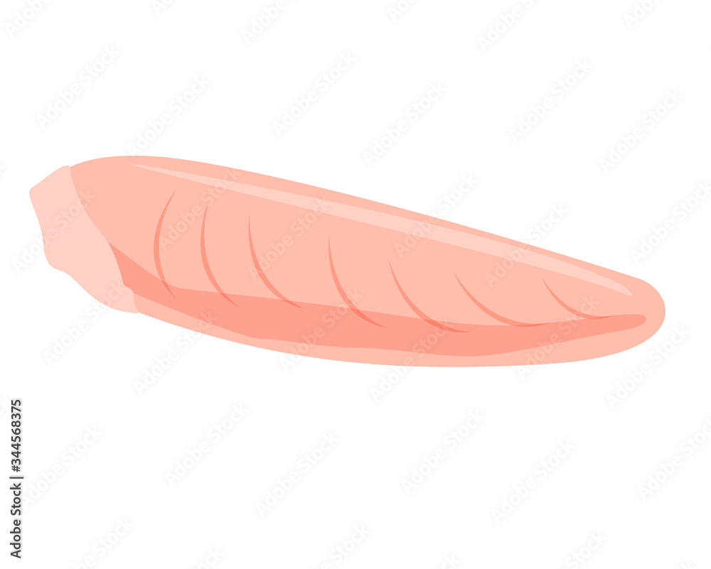 ささみ 鶏肉 チキン ささみ 鶏肉 チキン