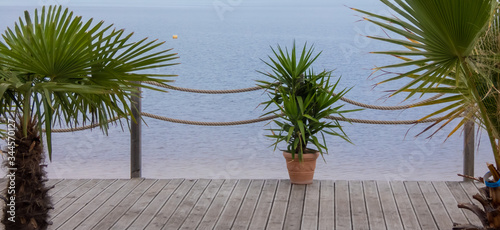 Seeterasse mit Palmen