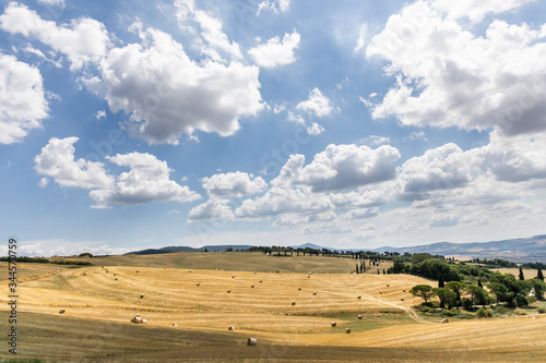 Tuscany landscape in summer time - wave hills  cypresses trees and beautiful blue sky.