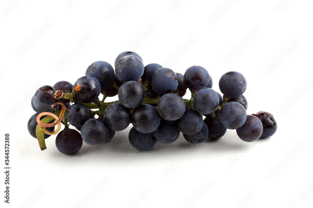 Fototapeta premium Black wine grape