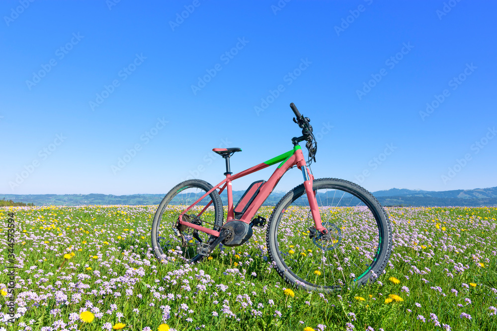 Bicycle in a colorful spring meadow with yellow dandelions and white cuckoo flowers. Blue sky background