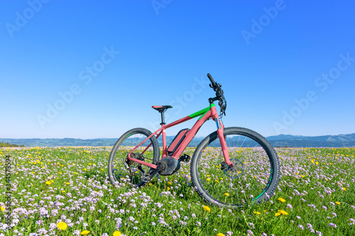 Wallpaper Mural Bicycle in a colorful spring meadow with yellow dandelions and white cuckoo flowers. Blue sky background Torontodigital.ca