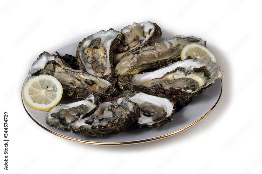 Oysters on dish Oysters on dish